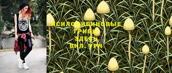 ПСИЛОЦИБИНОВЫЕ ГРИБЫ Алексин