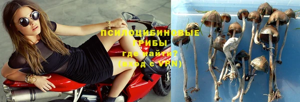 ПСИЛОЦИБИНОВЫЕ ГРИБЫ Пролетарск